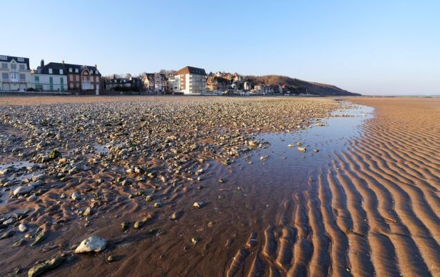 La Pommeraie - Photo 17