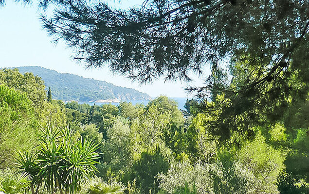 Mas Baladou - Photo 29