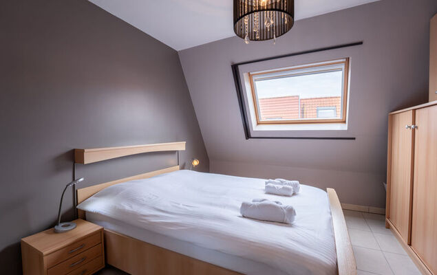 Ter Duinen - Photo 5